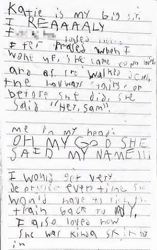 Diary entries