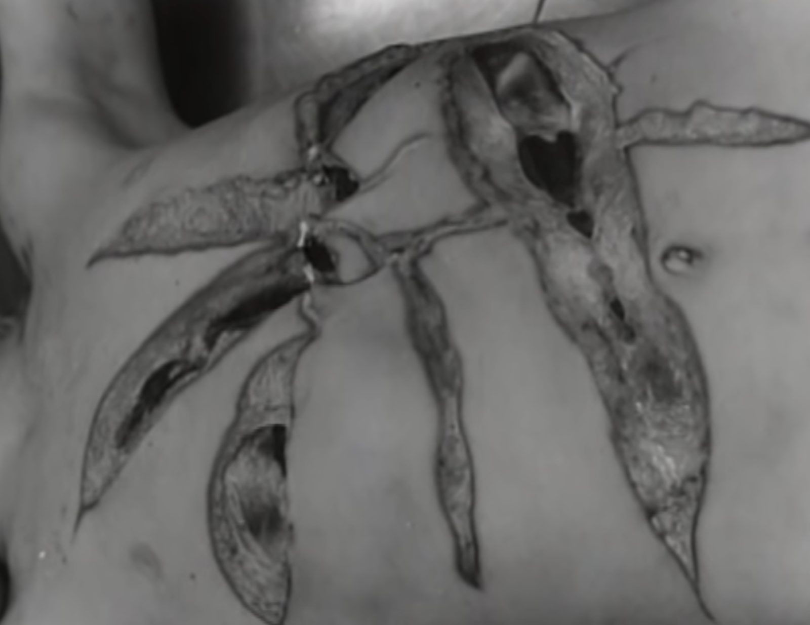 Carving on skin