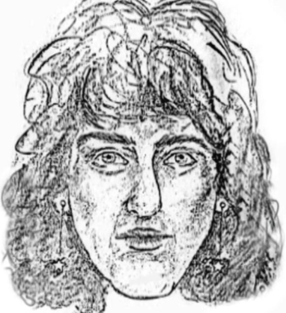 The Bushy-Haired Stranger