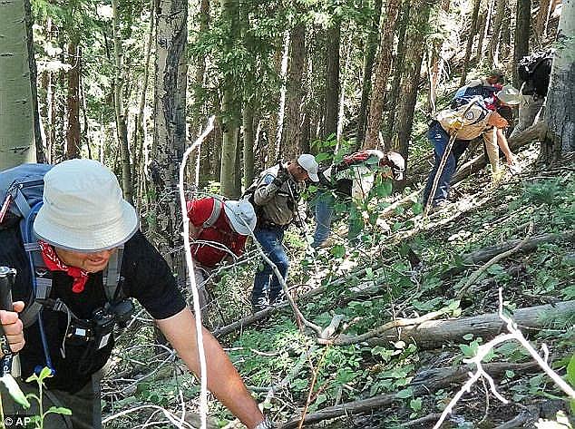 Search efforts